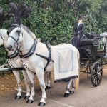 horse-drawn hearse carriage