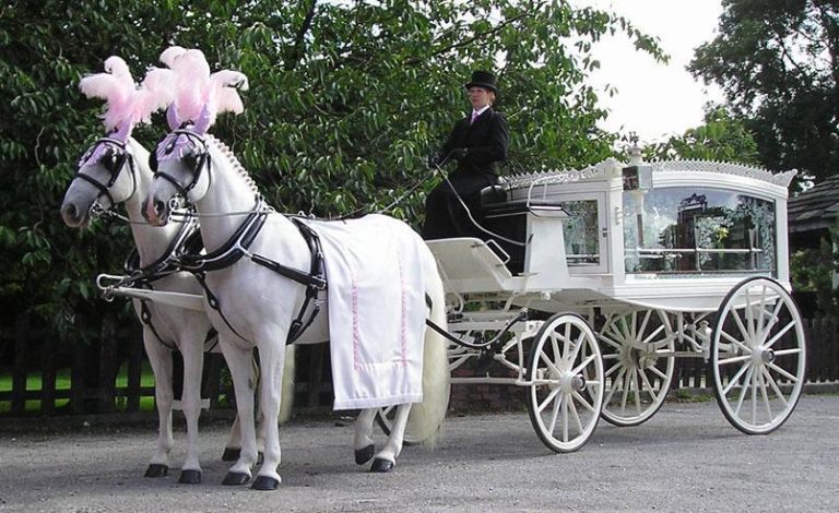 Horse-Drawn Hearse Funeral Service in Leicester