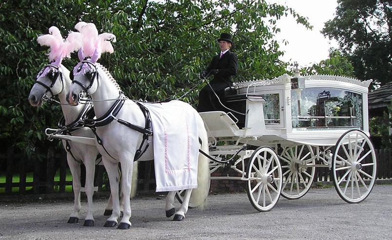 Horse drawn hearse funeral service