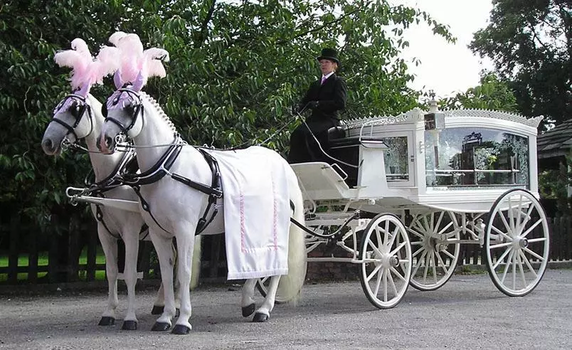 Horse drawn hearse funeral service