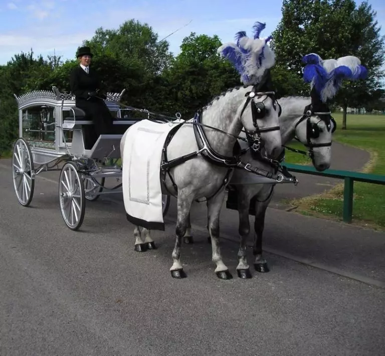 Silver horse drawn hearse funeral service Leicester