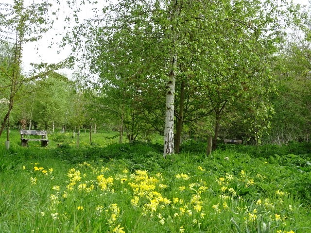 Prestwold Natural Burial Ground Leicestershire