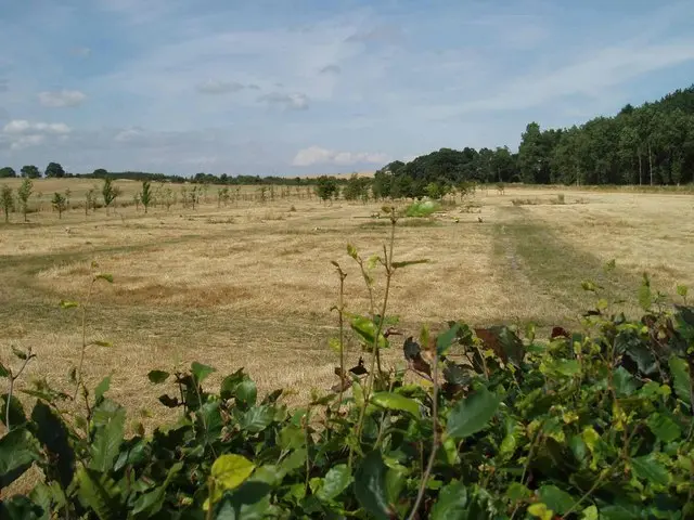 Tithe Green Natural Burial Markfield